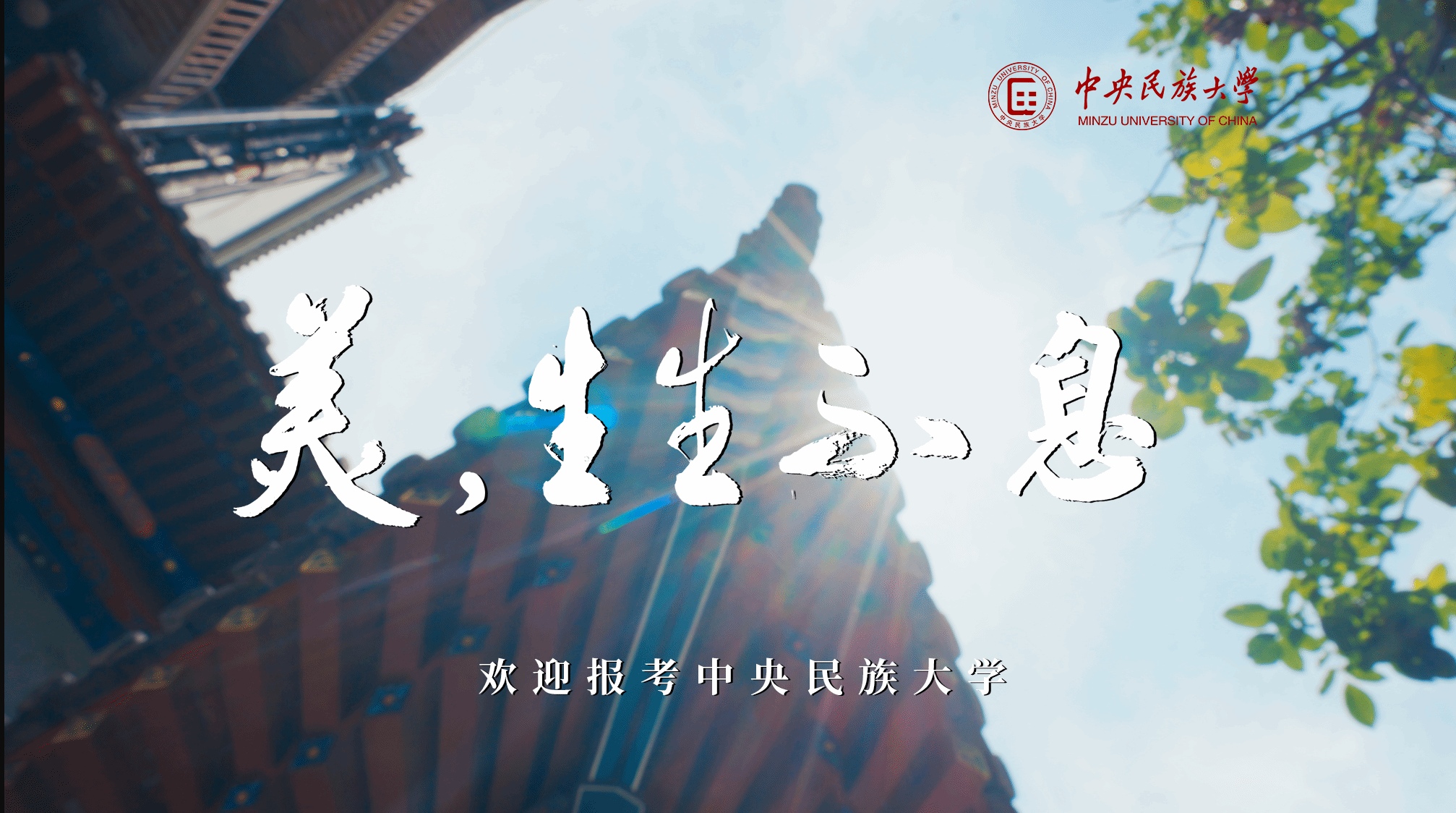 美,生生不息丨中央民族大學招生宣傳片重磅發布!